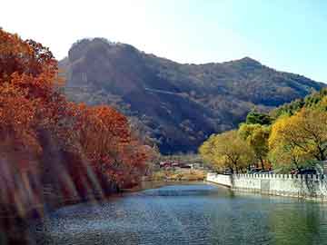 澳门天天免费精准大全，阿坝物流